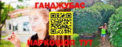 МДПВ Рыбинск