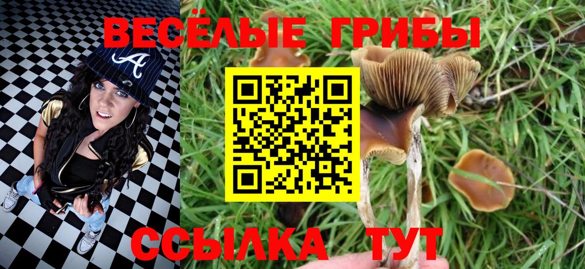Псилоцибиновые грибы прущие грибы  Вход с VPN  Галлюциногенные грибы Cubensis  Богородицк 